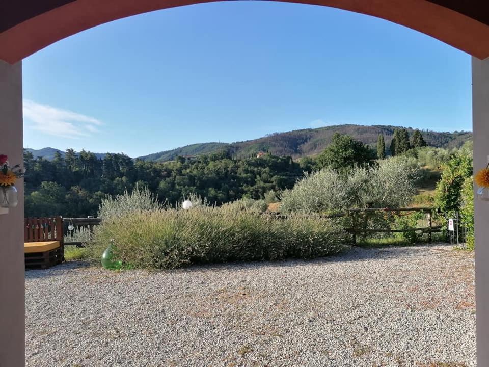 Olivia B&B And Apartment Cantagrillo Exterior foto